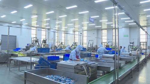 戰(zhàn) 恩陽工業(yè)企業(yè)兩月拿下12億