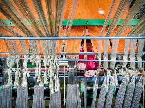 美國(guó)出口管制清單新增14類技術(shù)，特種紡織品貿(mào)易面臨新挑戰(zhàn)